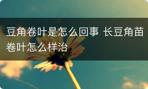 豆角卷叶是怎么回事 长豆角苗卷叶怎么样治