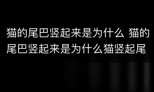 猫的尾巴竖起来是为什么 猫的尾巴竖起来是为什么猫竖起尾巴弓身是什么