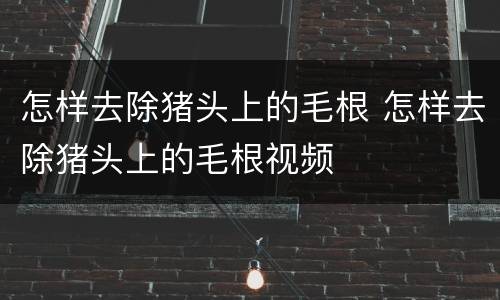 怎样去除猪头上的毛根 怎样去除猪头上的毛根视频