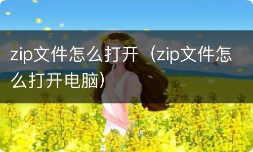 zip文件怎么打开（zip文件怎么打开电脑）