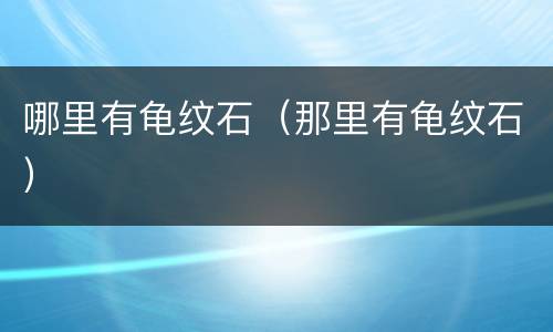 哪里有龟纹石（那里有龟纹石）