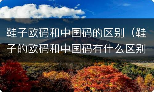 鞋子欧码和中国码的区别（鞋子的欧码和中国码有什么区别）