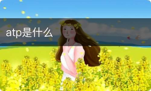 atp是什么