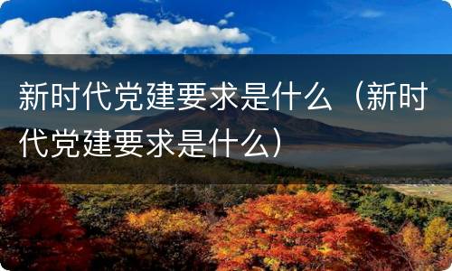 新时代党建要求是什么（新时代党建要求是什么）