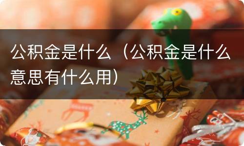公积金是什么（公积金是什么意思有什么用）
