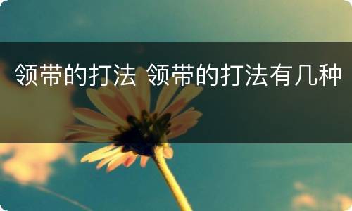 领带的打法 领带的打法有几种