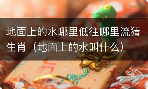 地面上的水哪里低往哪里流猜生肖（地面上的水叫什么）