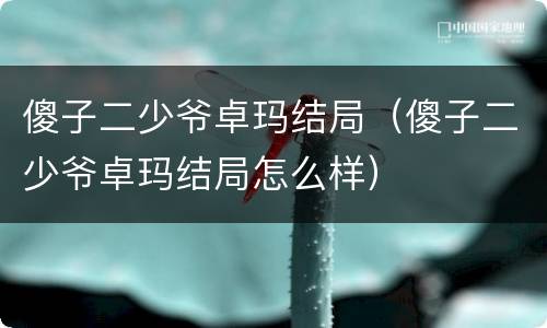 傻子二少爷卓玛结局（傻子二少爷卓玛结局怎么样）