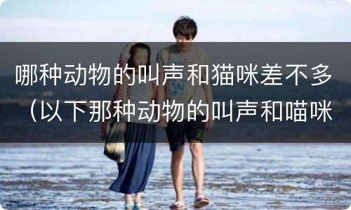 哪种动物的叫声和猫咪差不多（以下那种动物的叫声和喵咪差不多的）