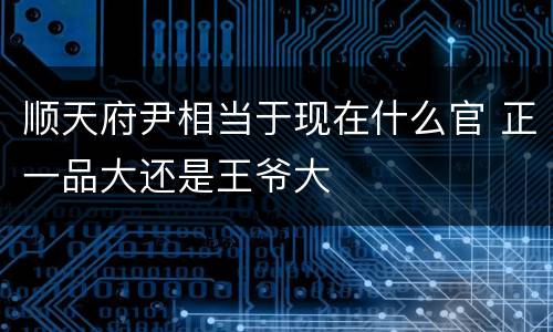顺天府尹相当于现在什么官 正一品大还是王爷大
