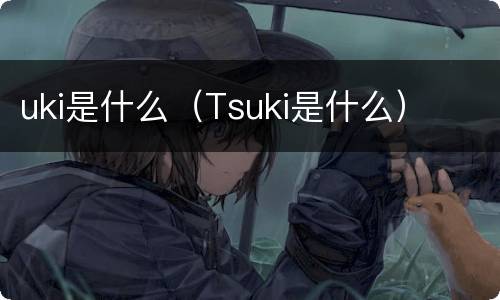 uki是什么（Tsuki是什么）