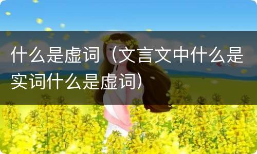 什么是虚词（文言文中什么是实词什么是虚词）