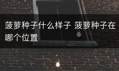 菠萝种子什么样子 菠萝种子在哪个位置