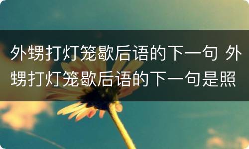 外甥打灯笼歇后语的下一句 外甥打灯笼歇后语的下一句是照旧还是照舅