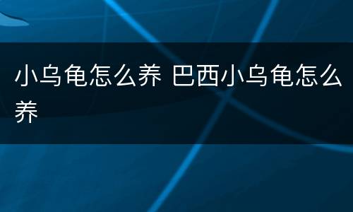 小乌龟怎么养 巴西小乌龟怎么养