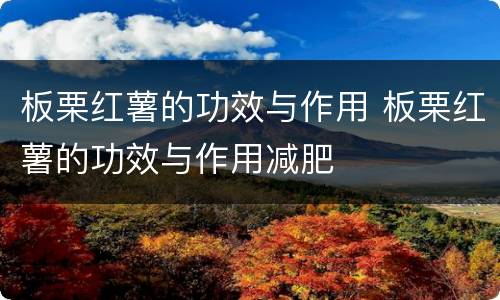 板栗红薯的功效与作用 板栗红薯的功效与作用减肥