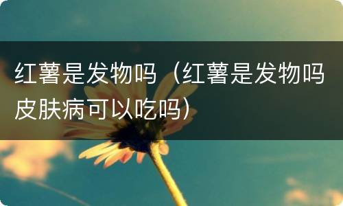 红薯是发物吗（红薯是发物吗皮肤病可以吃吗）