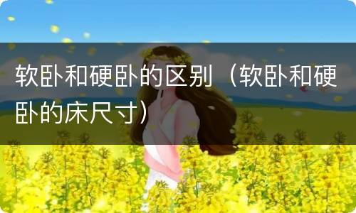 软卧和硬卧的区别（软卧和硬卧的床尺寸）