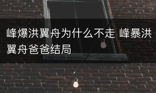 峰爆洪翼舟为什么不走 峰暴洪翼舟爸爸结局