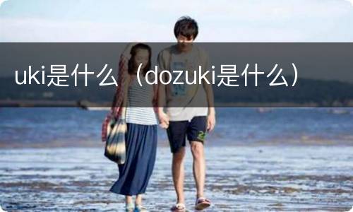 uki是什么（dozuki是什么）
