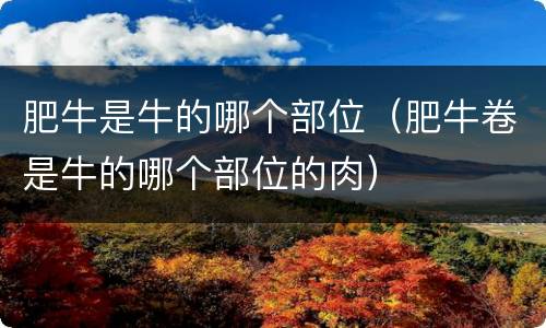 肥牛是牛的哪个部位（肥牛卷是牛的哪个部位的肉）