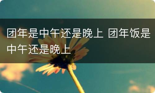 团年是中午还是晚上 团年饭是中午还是晚上
