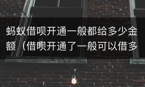 蚂蚁借呗开通一般都给多少金额（借呗开通了一般可以借多少）