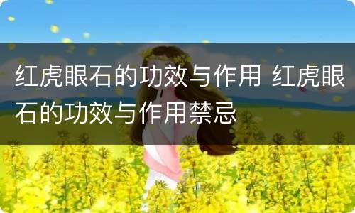 红虎眼石的功效与作用 红虎眼石的功效与作用禁忌