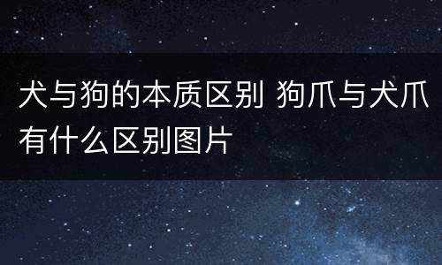 犬与狗的本质区别 狗爪与犬爪有什么区别图片