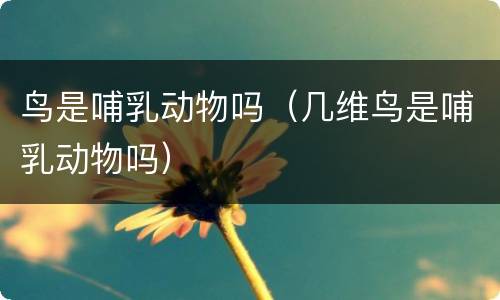 鸟是哺乳动物吗（几维鸟是哺乳动物吗）