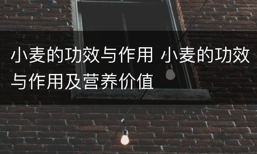 小麦的功效与作用 小麦的功效与作用及营养价值