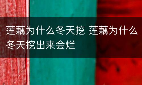 莲藕为什么冬天挖 莲藕为什么冬天挖出来会烂