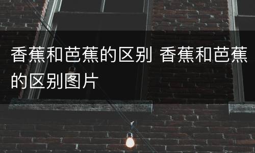 香蕉和芭蕉的区别 香蕉和芭蕉的区别图片