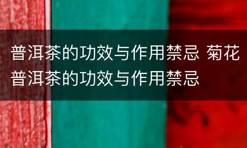 普洱茶的功效与作用禁忌 菊花普洱茶的功效与作用禁忌