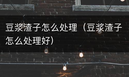 豆浆渣子怎么处理（豆浆渣子怎么处理好）