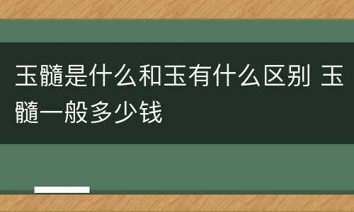 玉髓是什么和玉有什么区别 玉髓一般多少钱