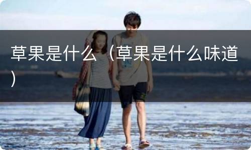 草果是什么（草果是什么味道）