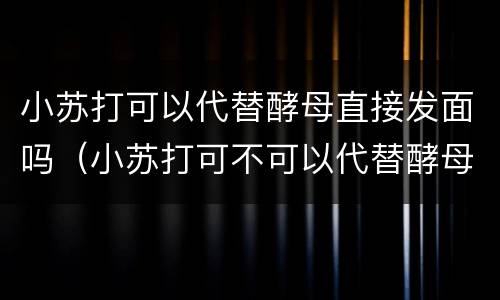 小苏打可以代替酵母直接发面吗（小苏打可不可以代替酵母粉）