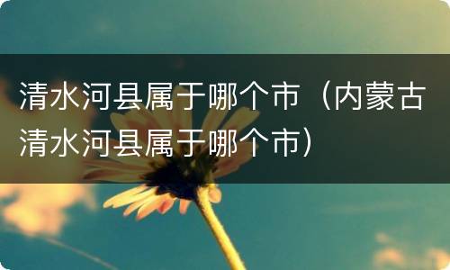 清水河县属于哪个市（内蒙古清水河县属于哪个市）