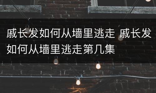 戚长发如何从墙里逃走 戚长发如何从墙里逃走第几集