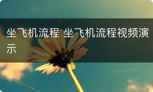 坐飞机流程 坐飞机流程视频演示