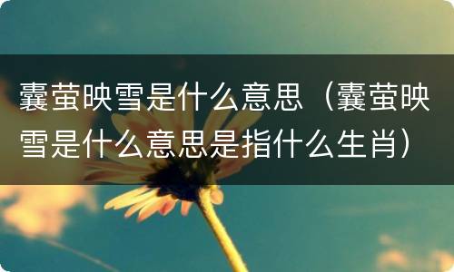 囊萤映雪是什么意思（囊萤映雪是什么意思是指什么生肖）
