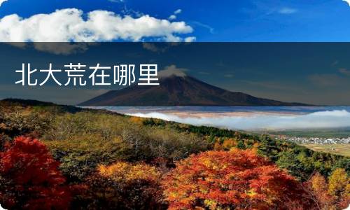 北大荒在哪里