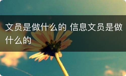 文员是做什么的 信息文员是做什么的