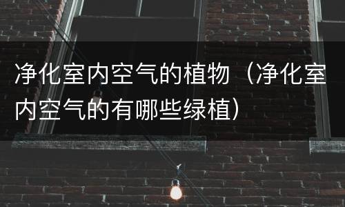 净化室内空气的植物（净化室内空气的有哪些绿植）