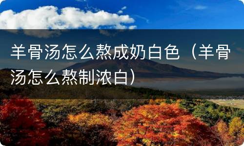 羊骨汤怎么熬成奶白色（羊骨汤怎么熬制浓白）