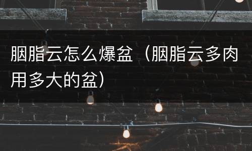 胭脂云怎么爆盆（胭脂云多肉用多大的盆）
