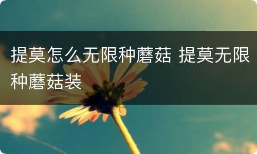 提莫怎么无限种蘑菇 提莫无限种蘑菇装