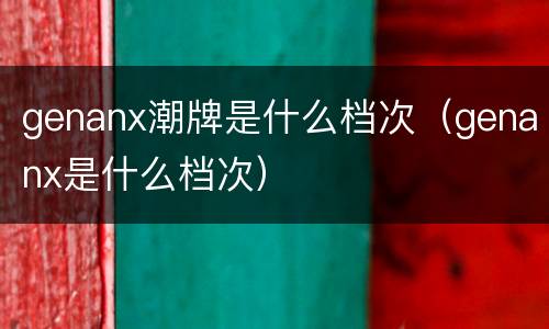 genanx潮牌是什么档次（genanx是什么档次）
