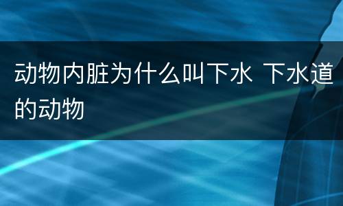 动物内脏为什么叫下水 下水道的动物